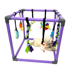 DOZZOPET Gimnasio para cachorros: juguetes colgantes coloridos estimulan la curiosidad.