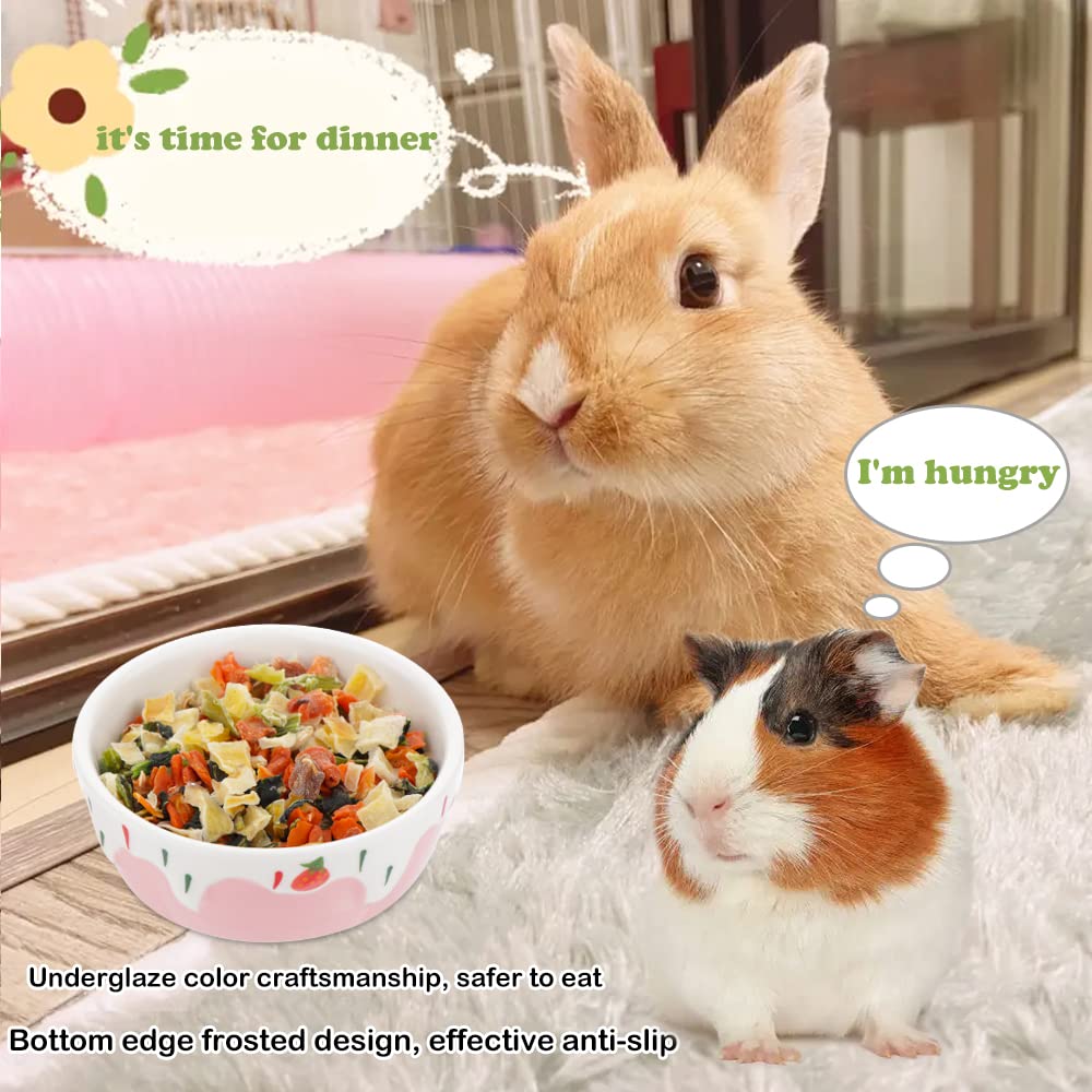 DQITJ tazón cerámico hamster rojo con base antivuelco para evitar vuelcos.