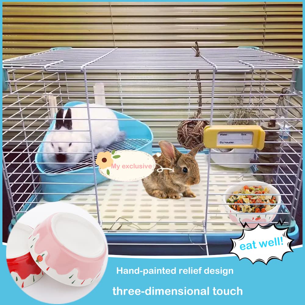 DQITJ tazón cerámico para uso diario en mascotas pequeñas, apto para agua y snacks.