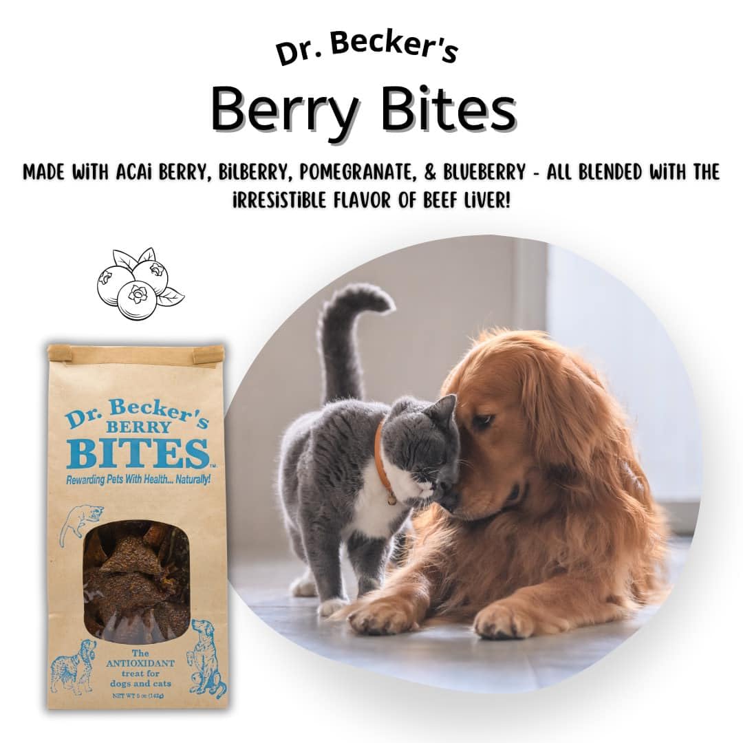 Recompensa saludable con sabor frutal en Dr. Becker's Berry Bites.