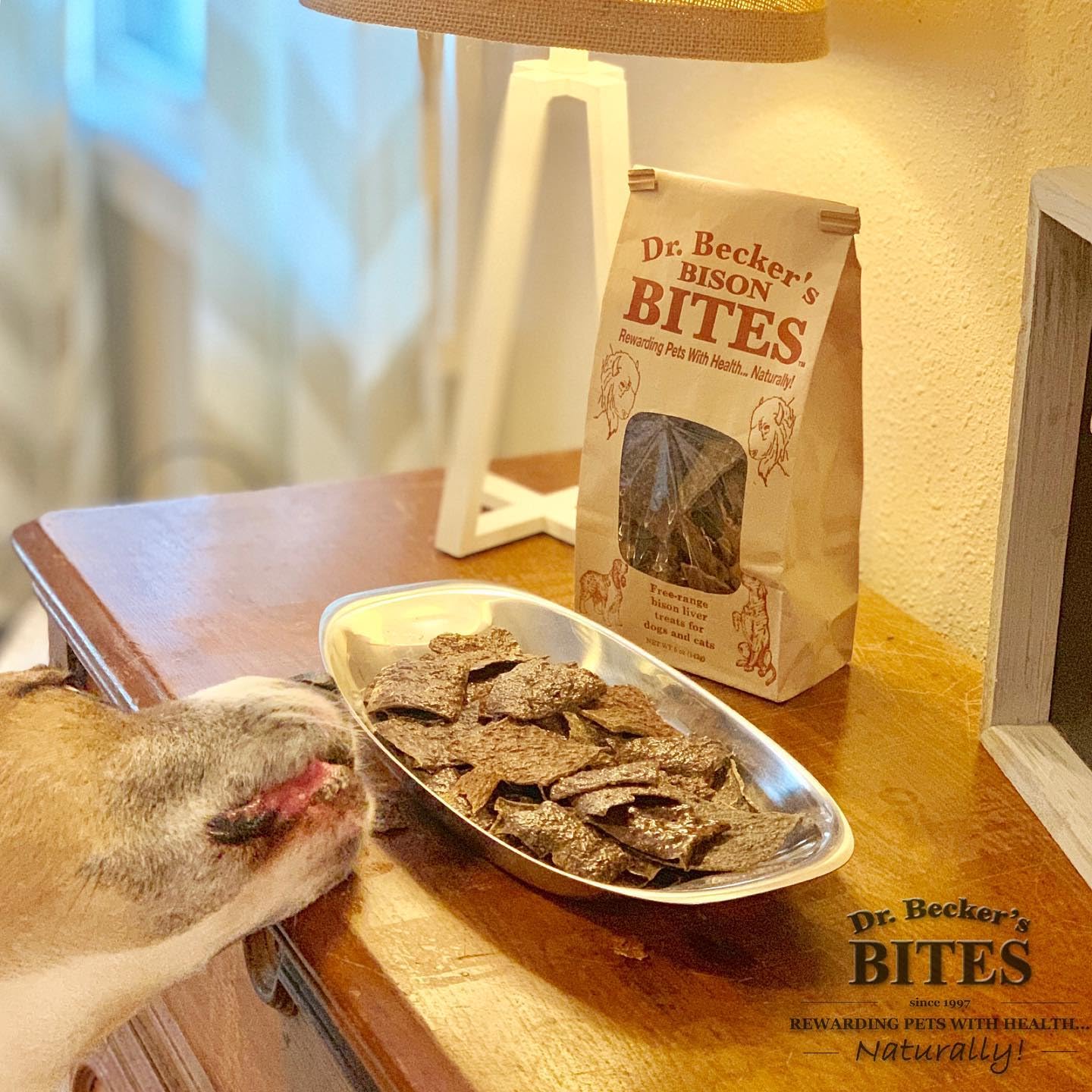 Dr. Becker's Bison Bites uso en entrenamiento y premios para mascotas