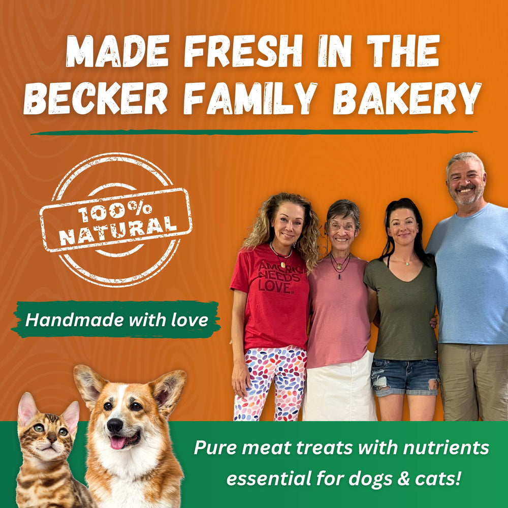 Perro recibiendo premio de Dr. Becker's Original Beef Bites durante entrenamiento