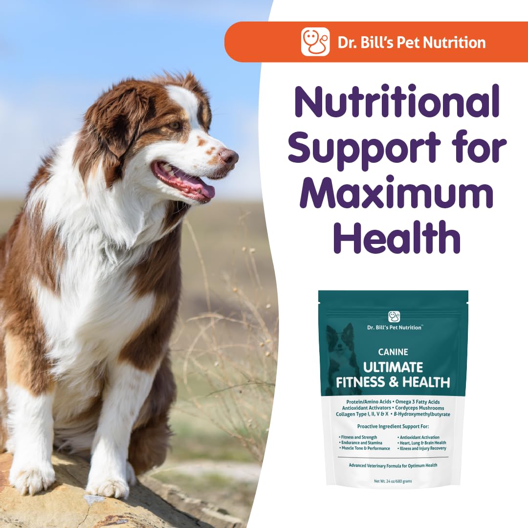 Pelaje suave y brillo asociados a Dr. Bill's Canine Ultimate Fitness