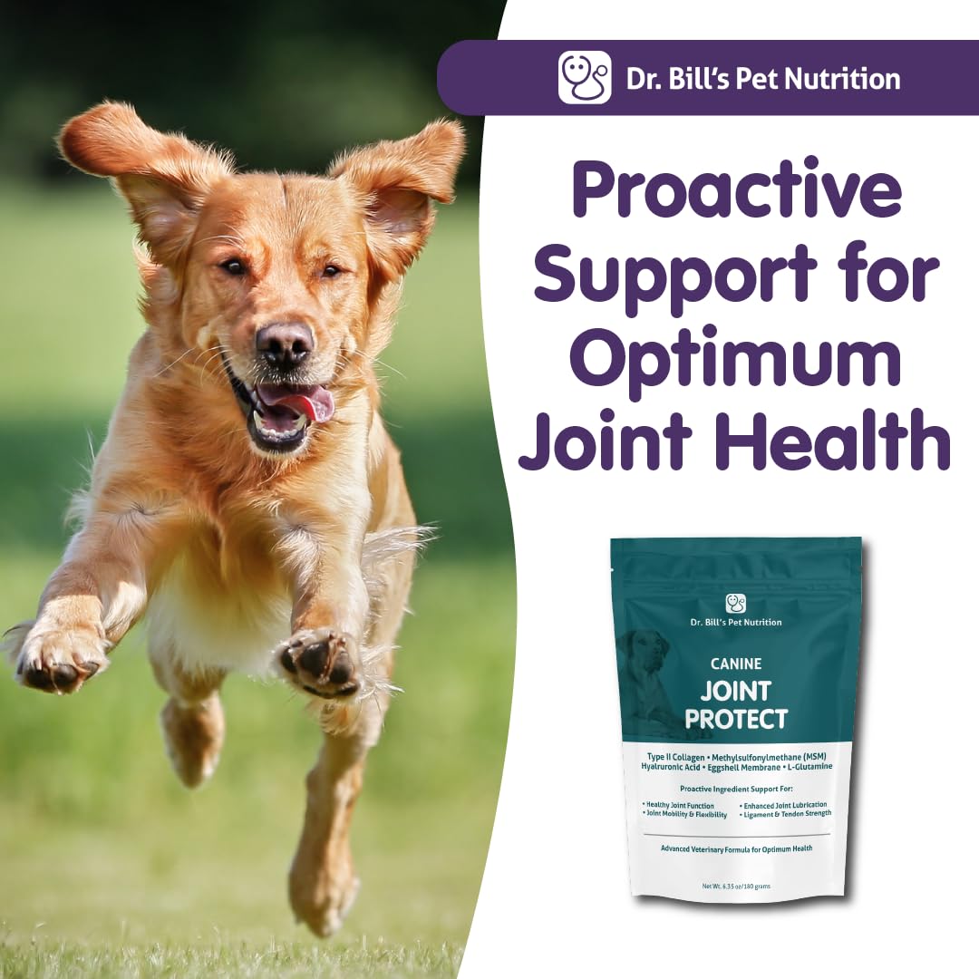 L-Glutamina en Dr. Bill's Protección Articular Canina para metabolismo muscular.