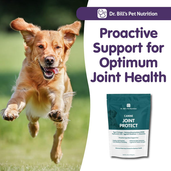 L-Glutamina en Dr. Bill's Protección Articular Canina para metabolismo muscular.