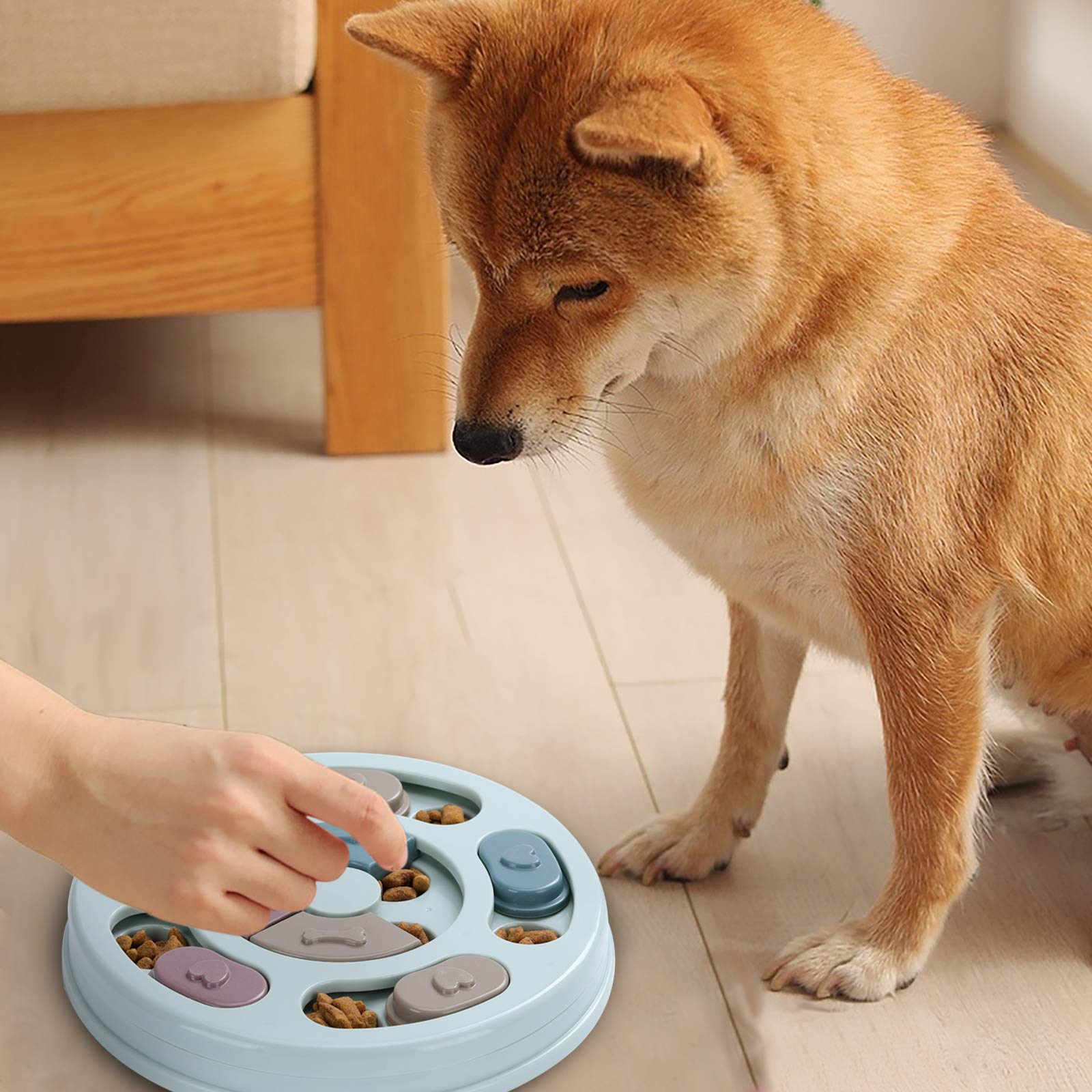 DR CATCH Puzzle diseño seguro para perros pequeños