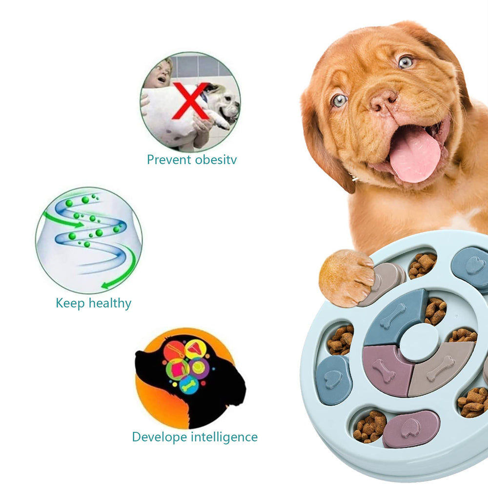 DR CATCH Puzzle entrenamiento cognitivo para perros, mente activa