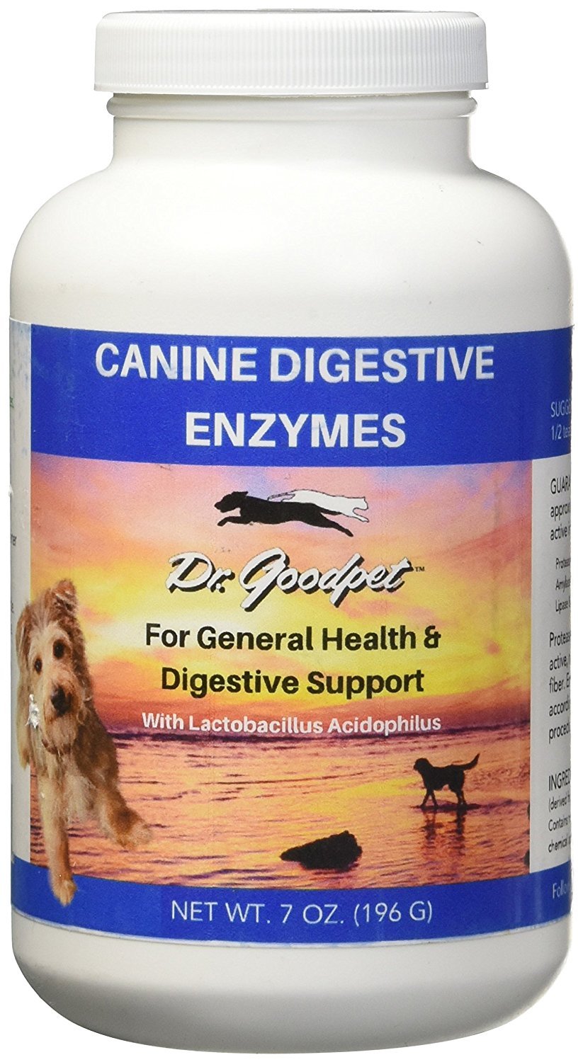Dr. Goodpet polvo de enzimas digestivas para perros, envase de 7 oz, apoyo digestivo.