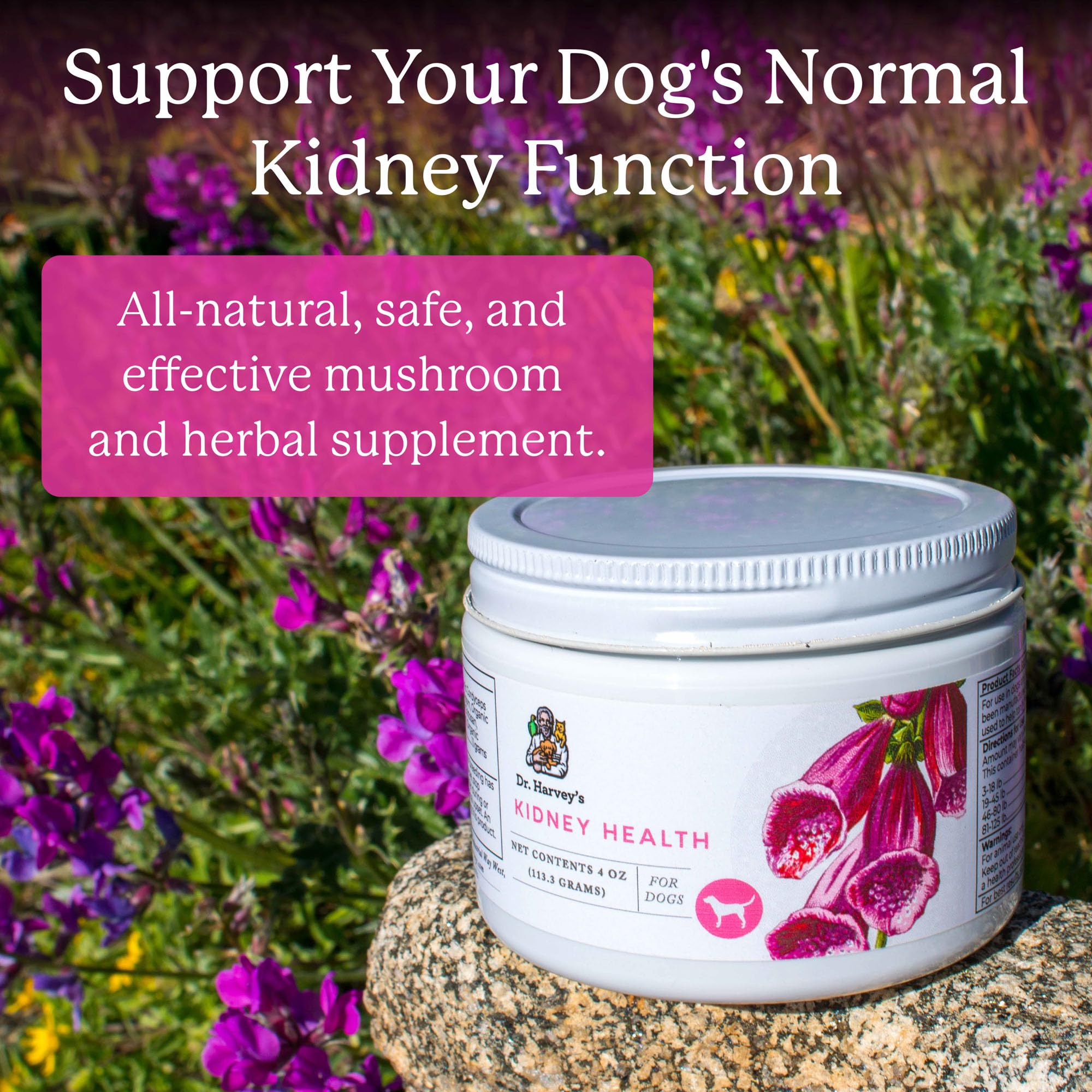 Etiqueta frontal de Dr. Harvey's Kidney Health con ingredientes naturales para perros