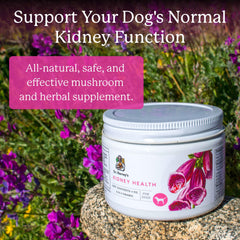 Etiqueta frontal de Dr. Harvey's Kidney Health con ingredientes naturales para perros