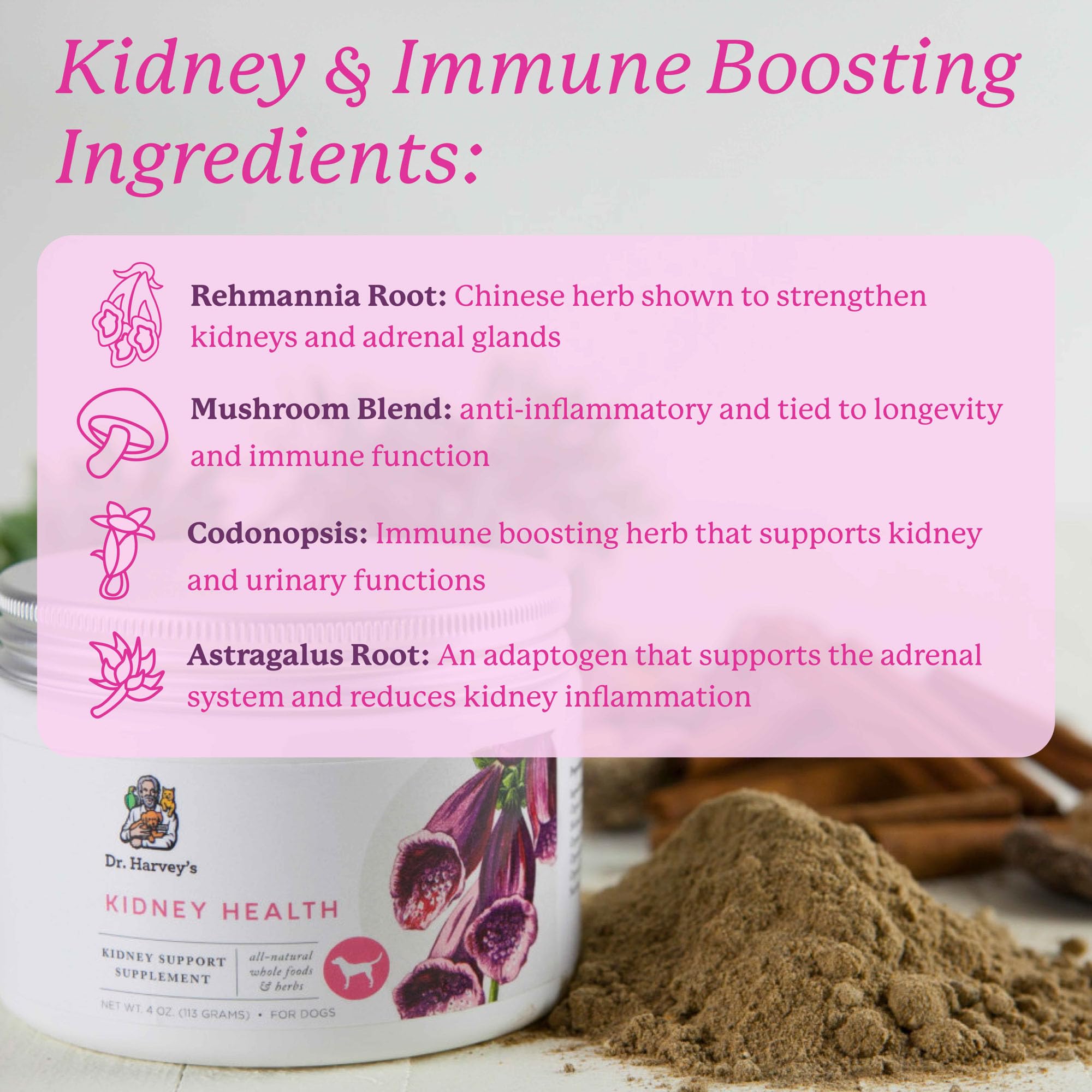 Mezcla de hongos orgánicos en Dr. Harvey's Kidney Health para apoyo inmunológico