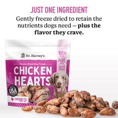 Dr. Harvey's snack saludable para perros durante el día.