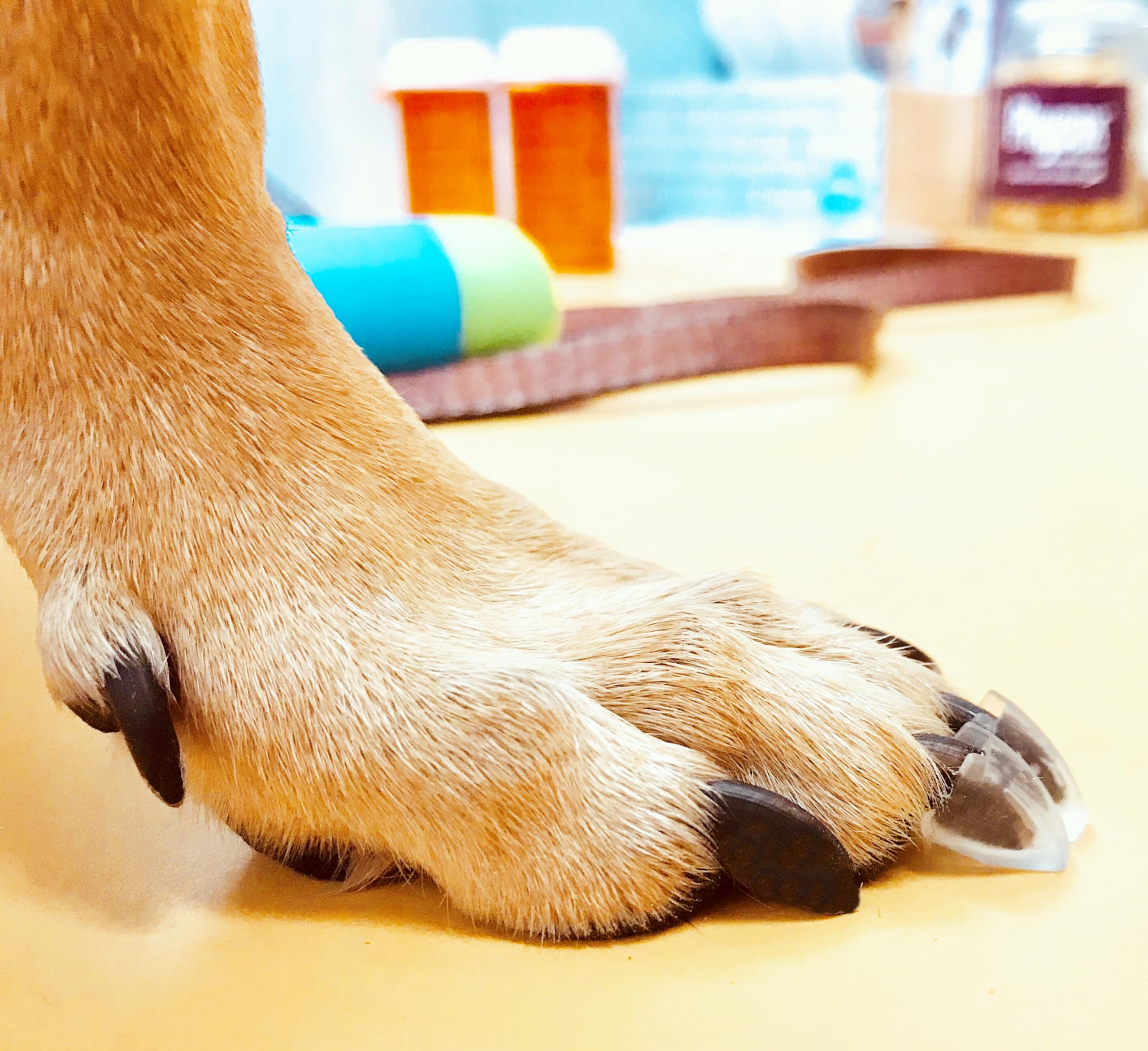 Dr. McHenry's Dog Toe Treads adhesivo para patas con mayor tracción.