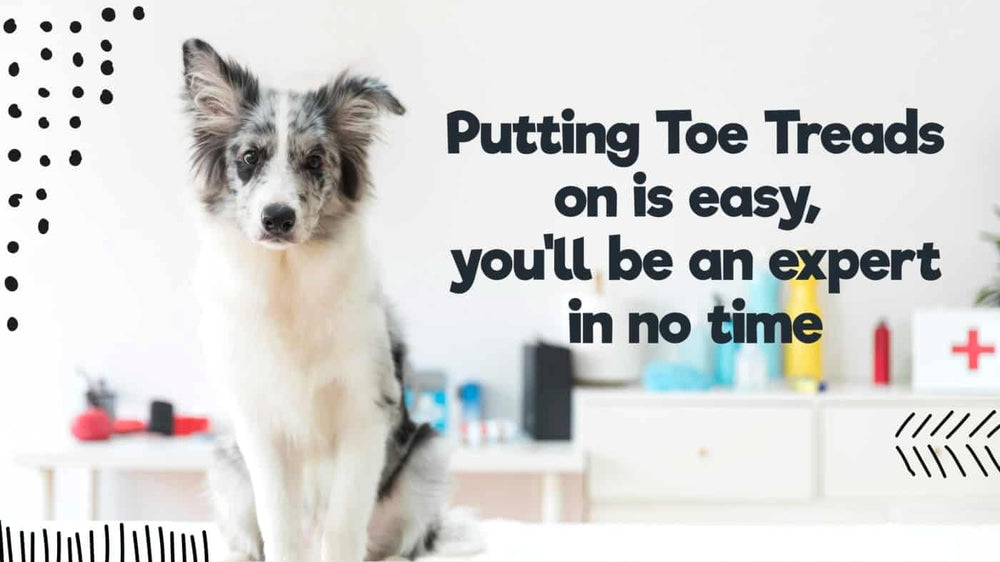 Dr. McHenry's Dog Toe Treads ideal para perros senior que ganan movilidad.