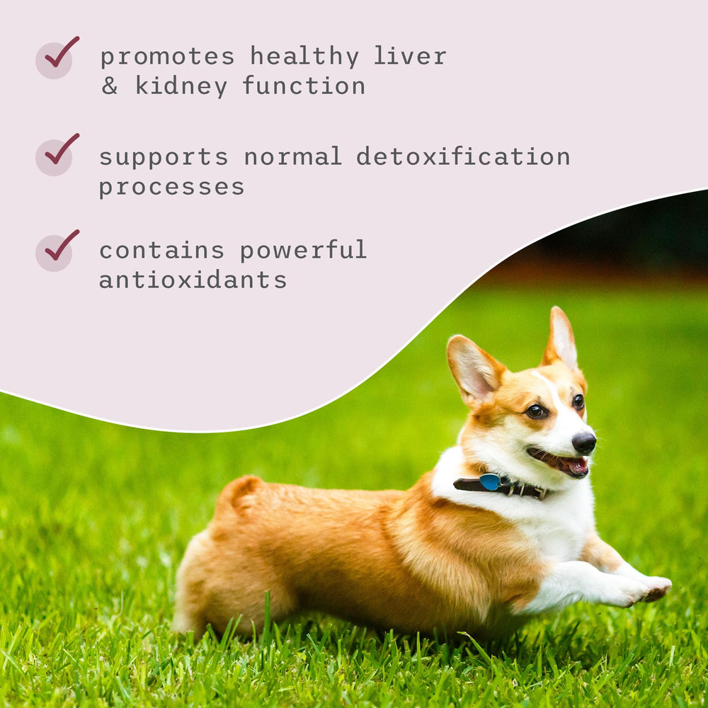 Dr. Mercola Bark & Whiskers Detox, detalle del tubo para uso en casa.