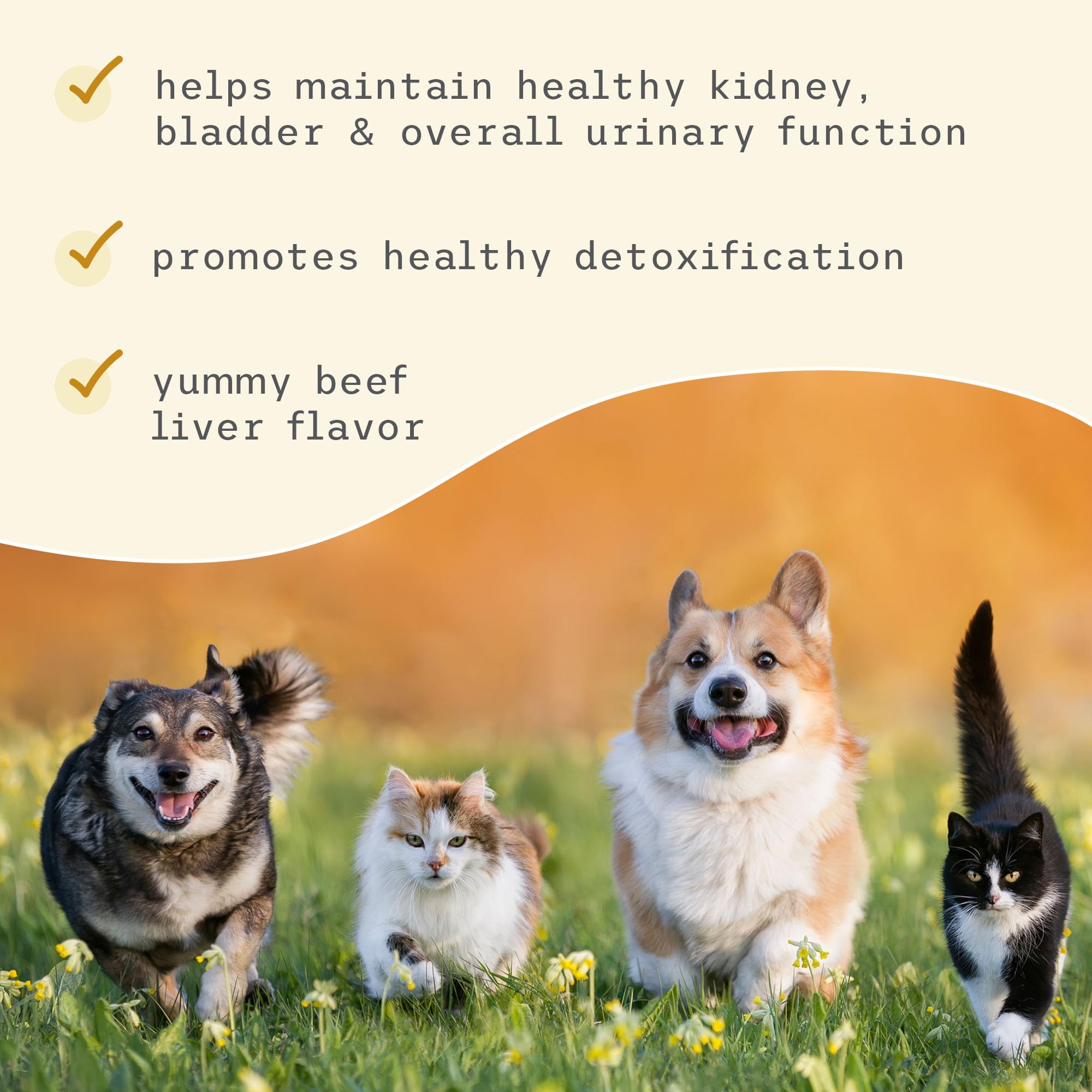 Dr. Mercola Bark y Whiskers etiqueta con ingredientes clave para seguridad y uso.