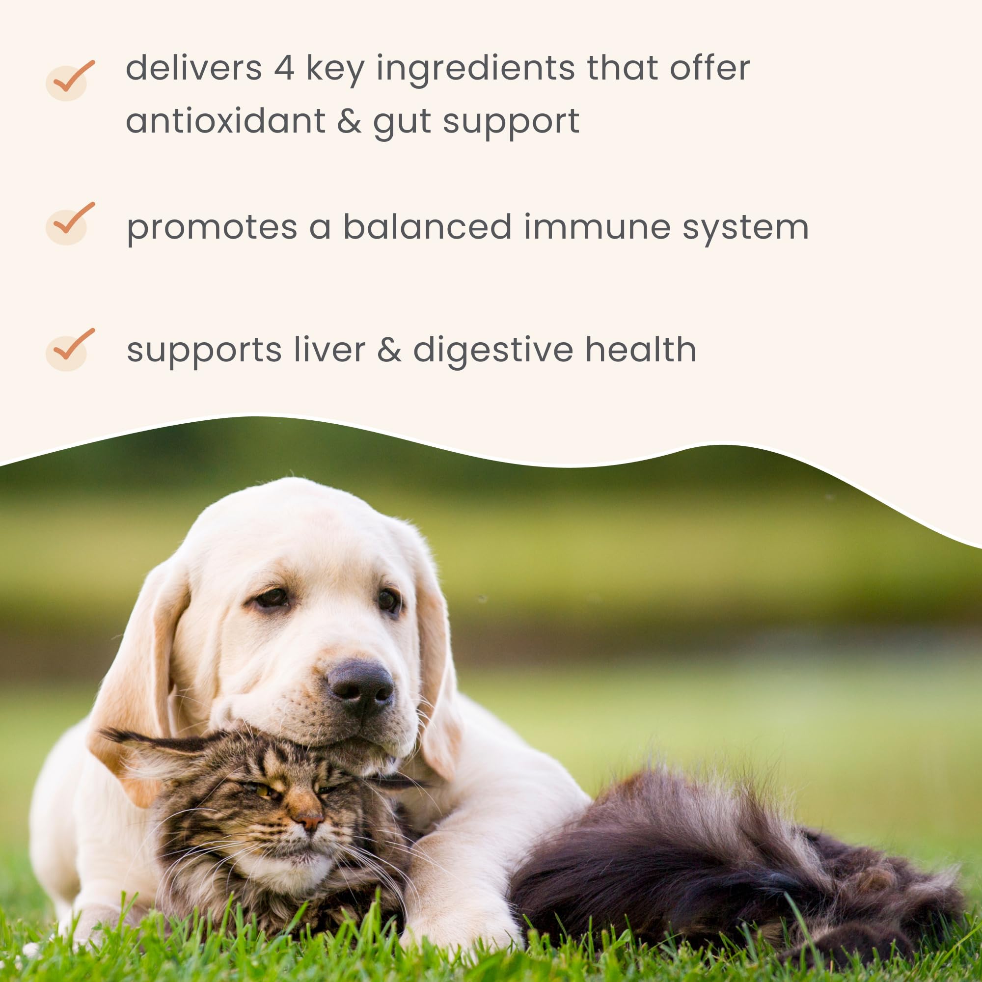 Fermento de levadura en Bark & Whiskers para microbiota saludable.