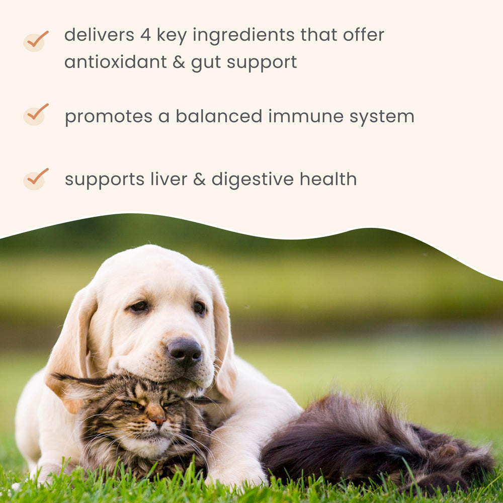 Fermento de levadura en Bark & Whiskers para microbiota saludable.