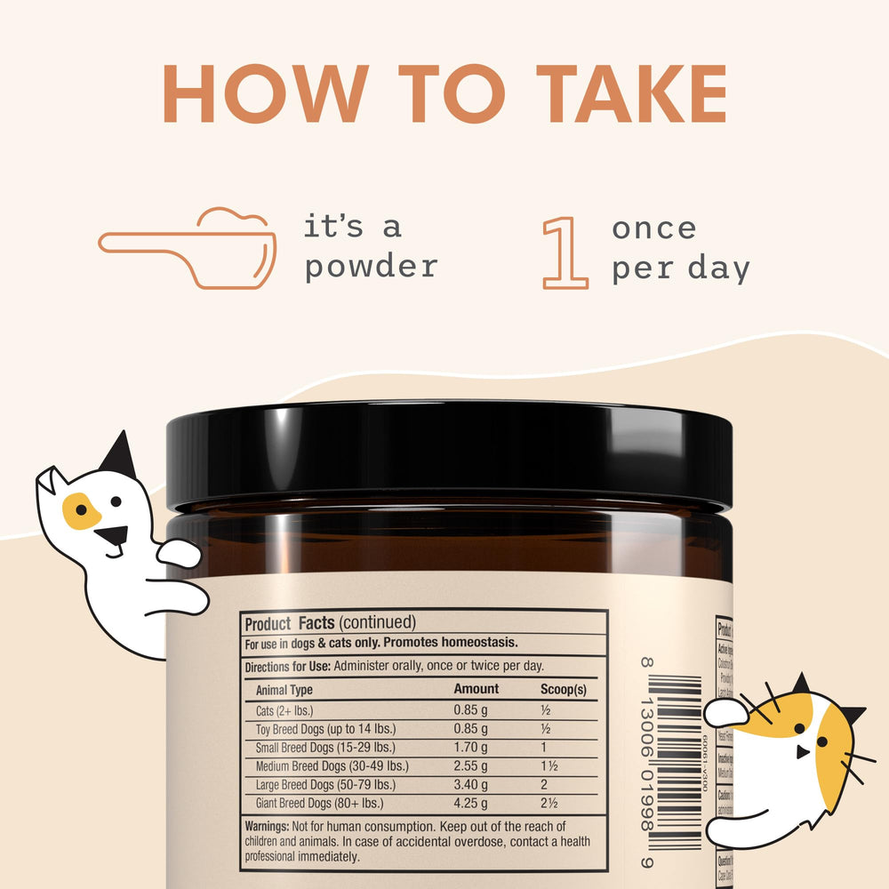 Moringa Oleifera en Bark & Whiskers aporta minerales y balance inflamatorio.