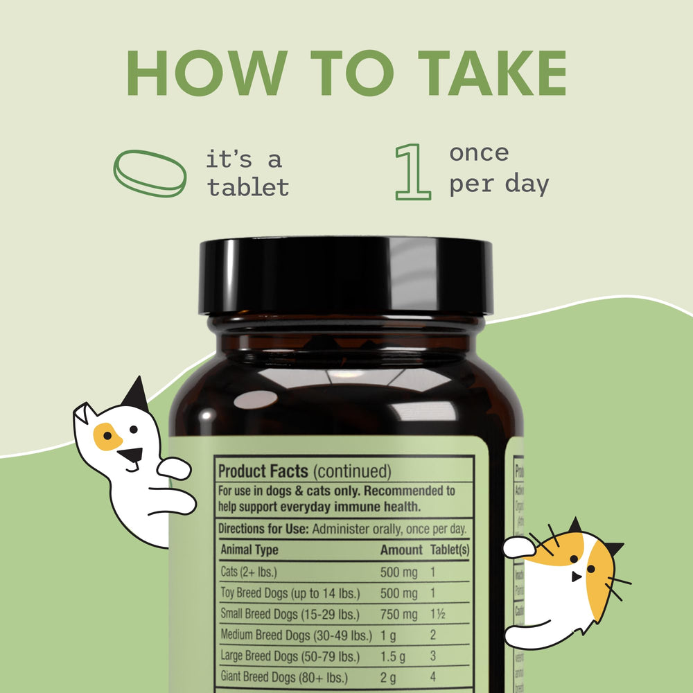 Uso diario de SpiruGreen para más energía y bienestar en mascotas.