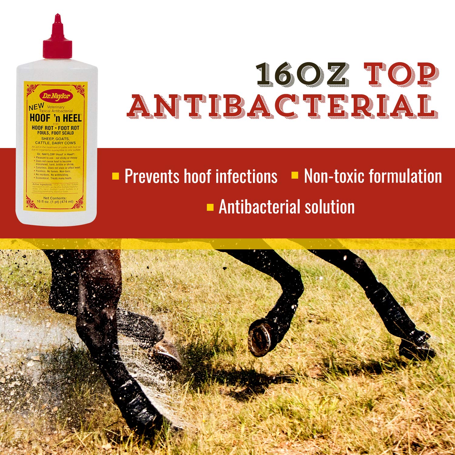 Aplicación en pezuñas con Hoof 'N Heal para higiene y cuidado