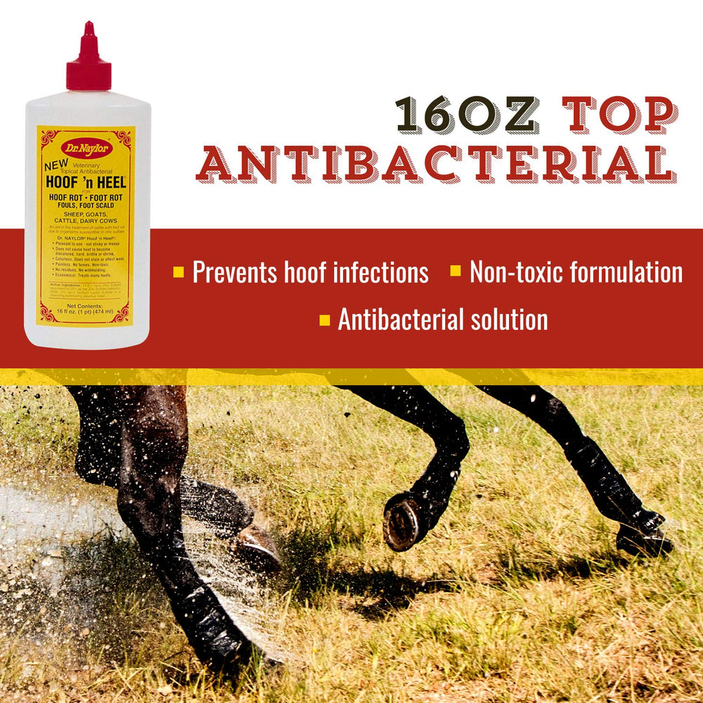 Aplicación en pezuñas con Hoof 'N Heal para higiene y cuidado