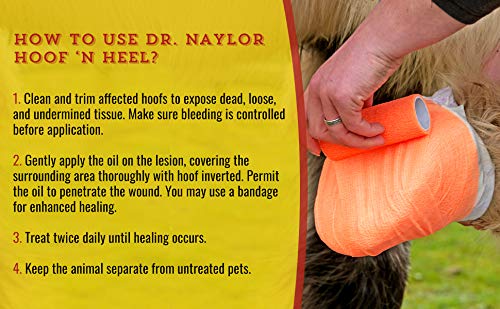 Uso en caballos con Dr. Naylor Hoof 'N Heal para limpieza de pezuñas