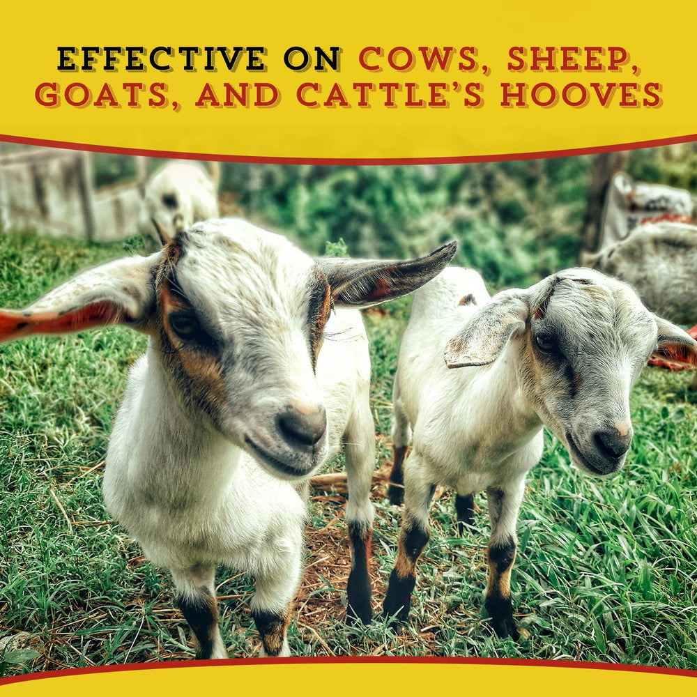 Uso en cabras con Dr. Naylor Hoof 'N Heal para mantenimiento de pezuñas