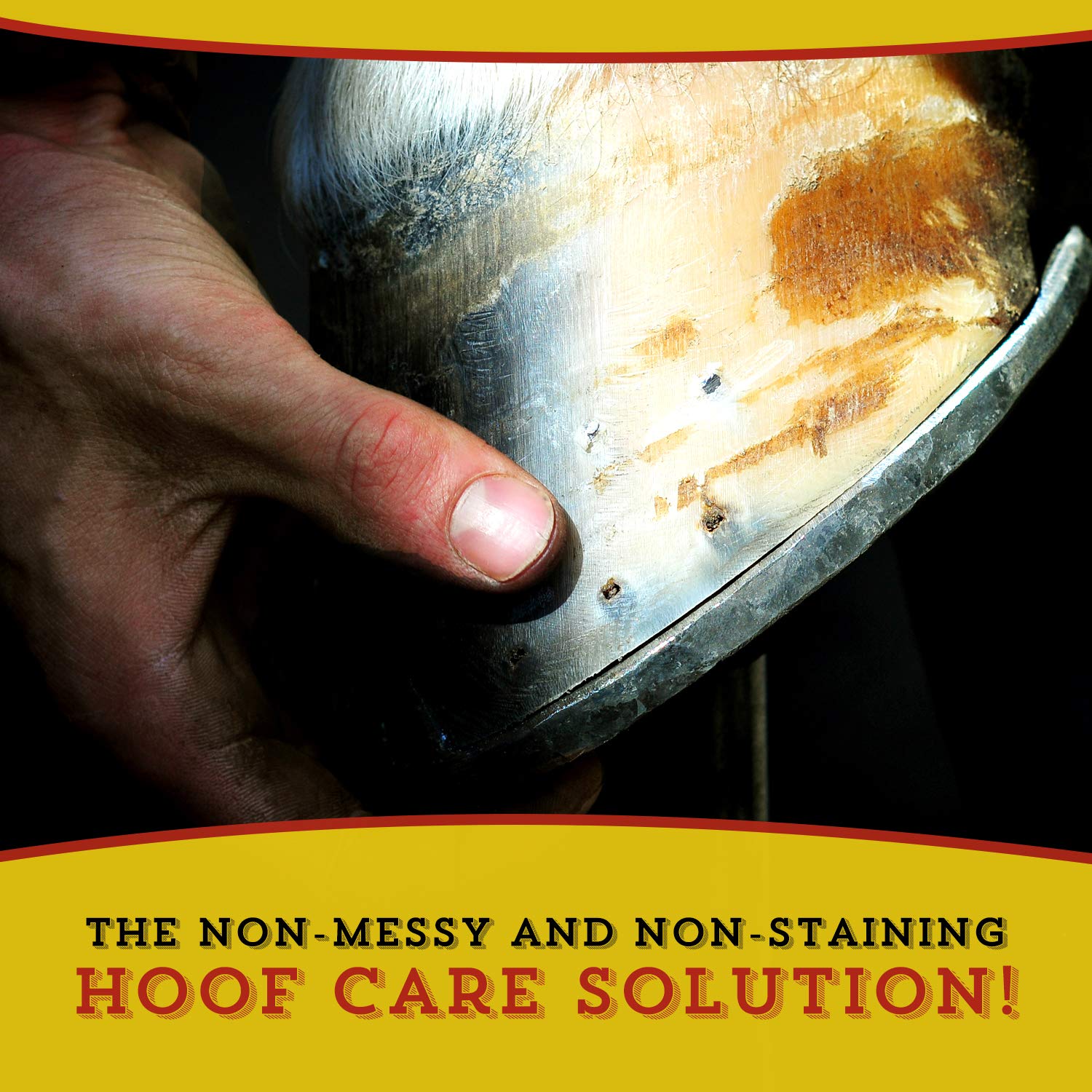 Uso en ovejas con Dr. Naylor Hoof 'N Heal para cuidado preventivo