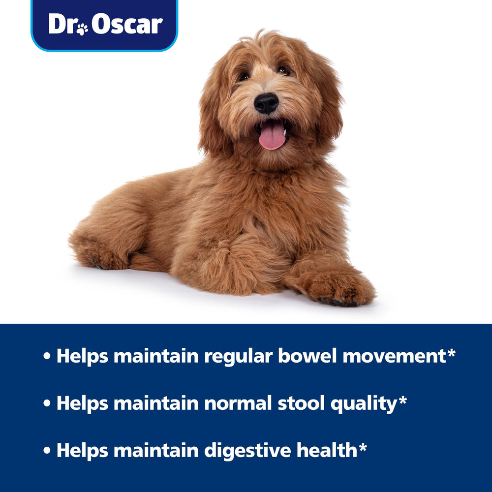 Dr. Oscar Probióticos y prebióticos, combinación para la salud digestiva.