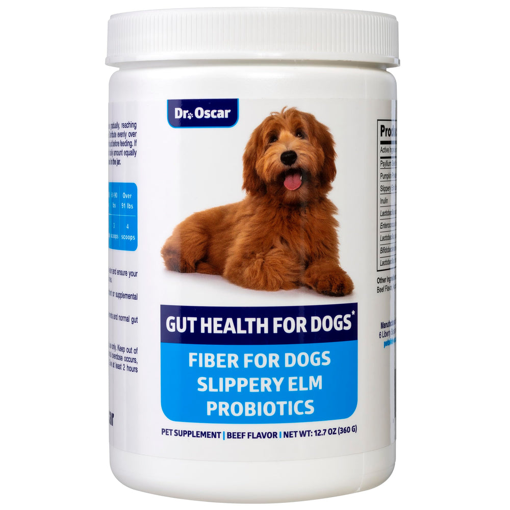 Dr. Oscar Salud Digestiva para Perros, bote de polvo, posible apoyo a la función intestinal.