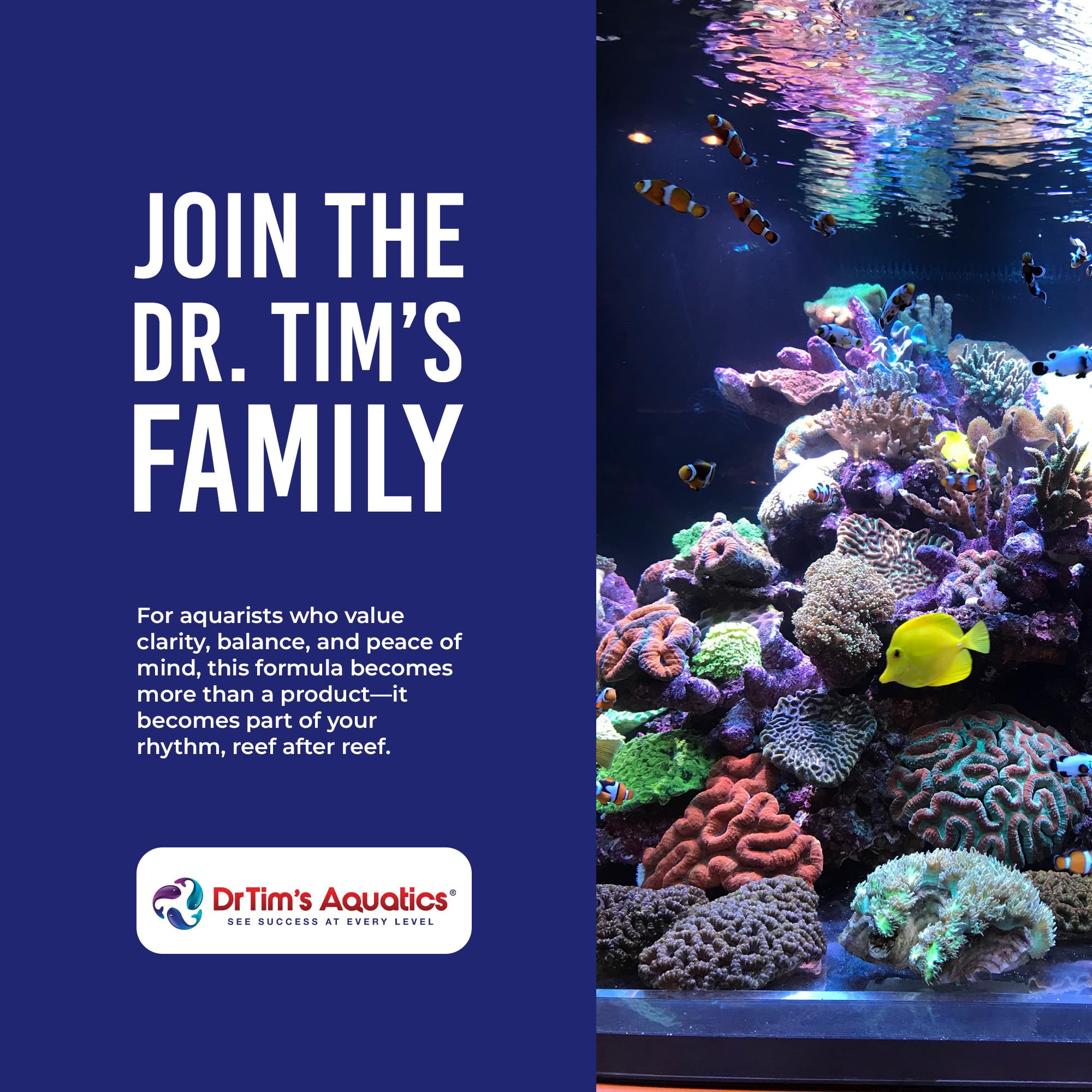 DrTim's Aquatics Saltwater One & Only soporte para corales y peces