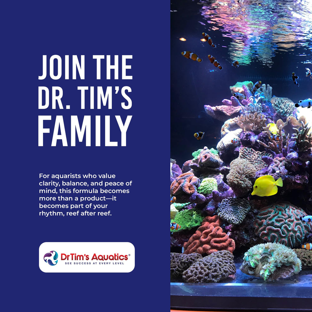 DrTim's Aquatics Saltwater One & Only soporte para corales y peces