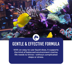 Acuario con DrTim's Aquatics: bacterias nitrificantes sin olor ni azufre.