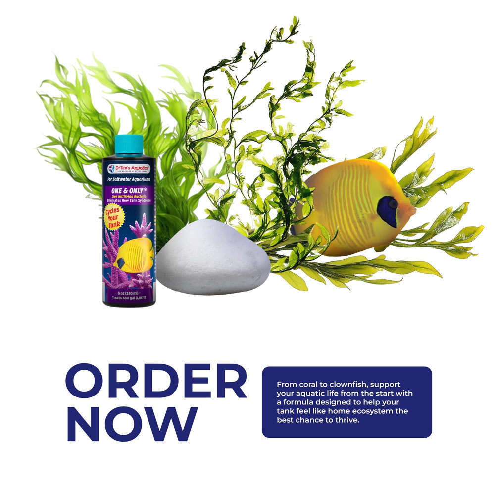 DrTim's Aquatics Saltwater One & Only biofiltración estable