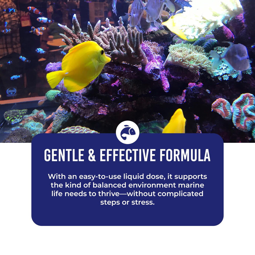DrTim's Aquatics Saltwater One & Only olor neutro, sin azufre