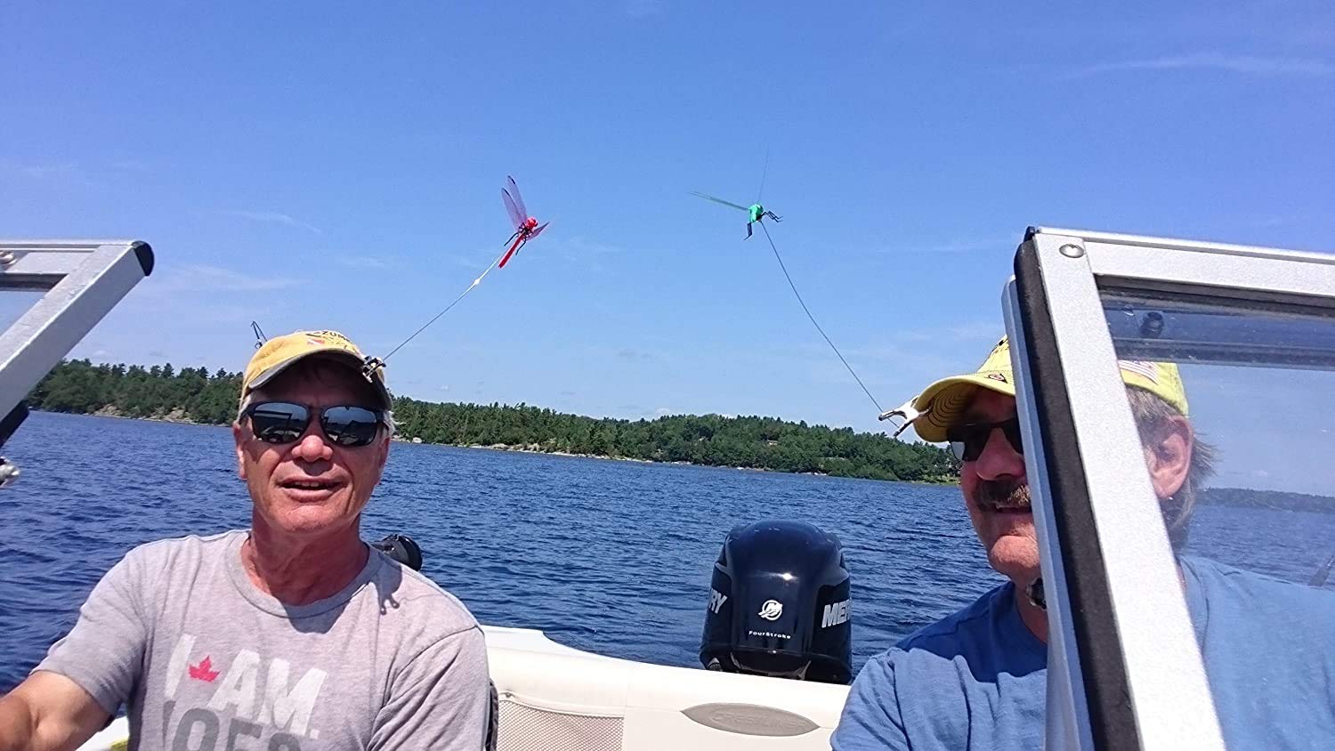 DRAGONFLY WINGMAN presenta colores aleatorios para mayor visibilidad.