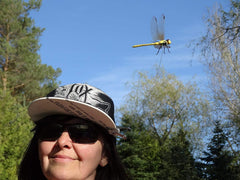 DRAGONFLY WINGMAN disuade caballos cerca de cercos y entradas.