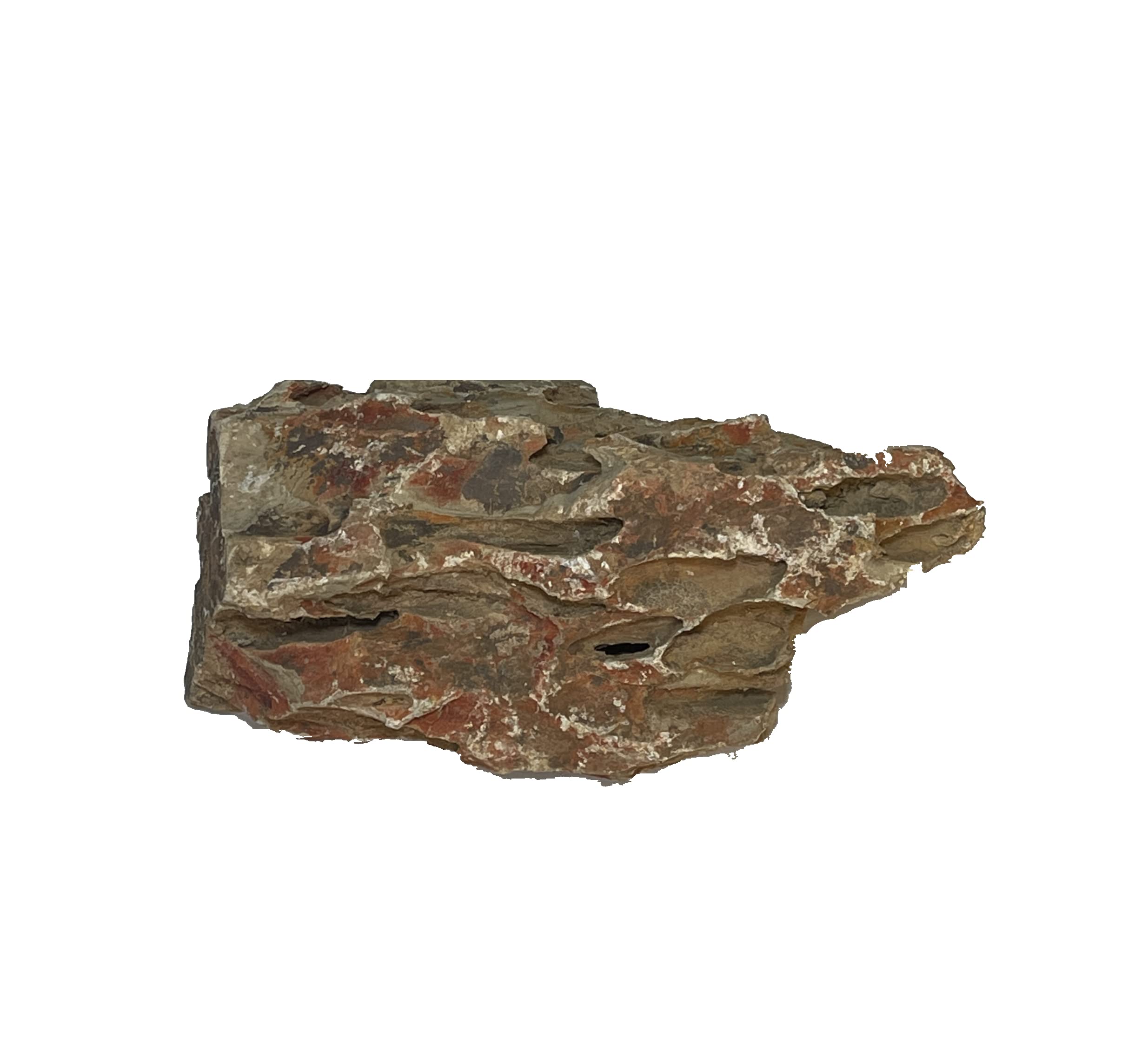 Dragonstone: detalle de la superficie de roca para acuarios, mejora la apariencia.