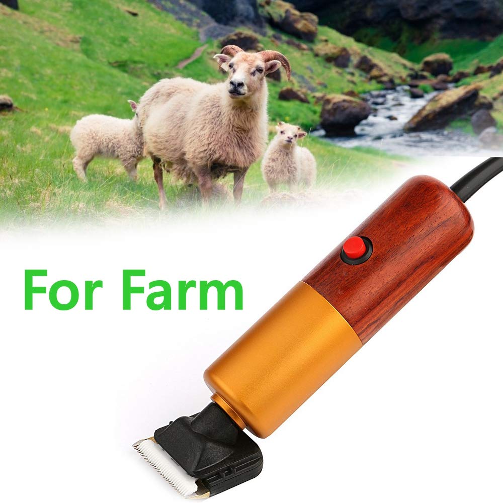 Dream Reach A-200W: motor de precisión con vibraciones bajas.