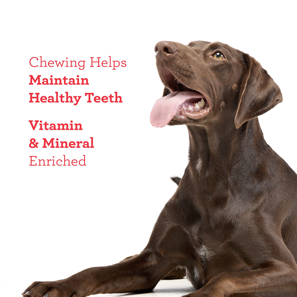 DreamBone uso diario para perros, snack atractivo