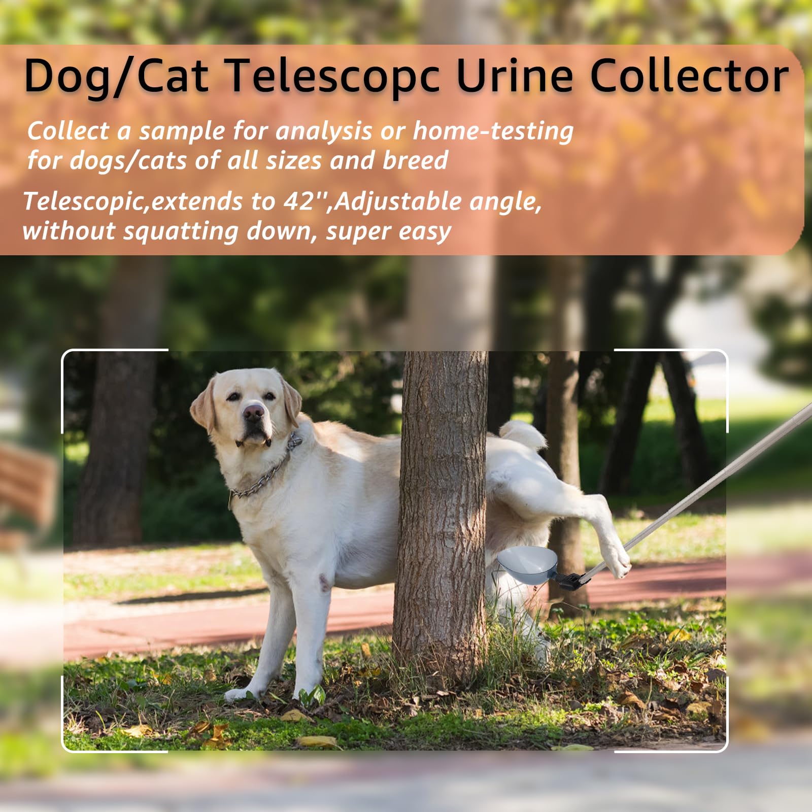 Dreamemo angulación ajustable para recolectar muestras sin molestar a la mascota.
