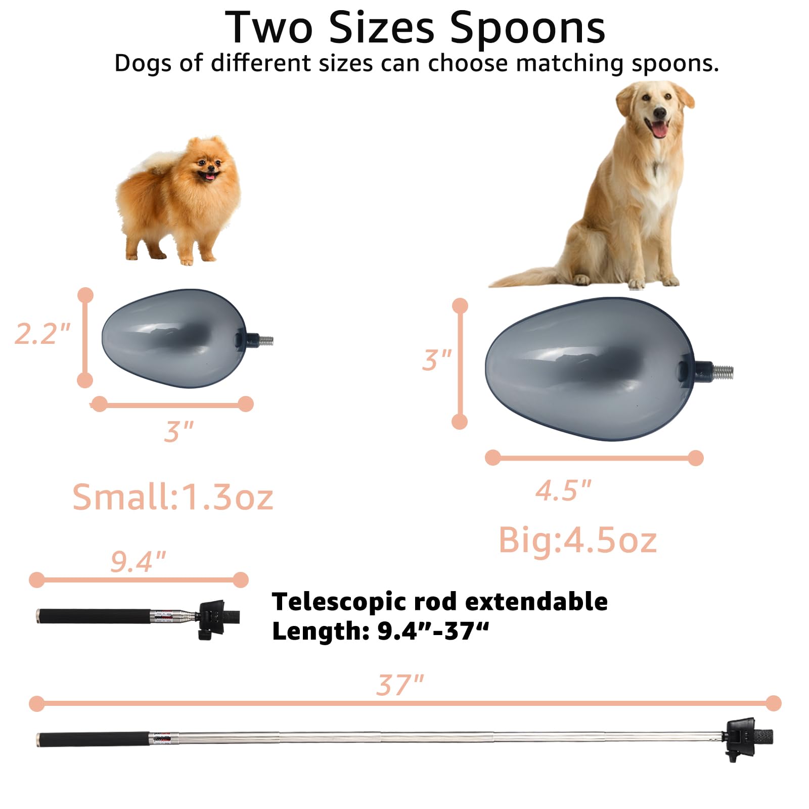 Dreamemo contenedor para transportar muestras a tu veterinario.