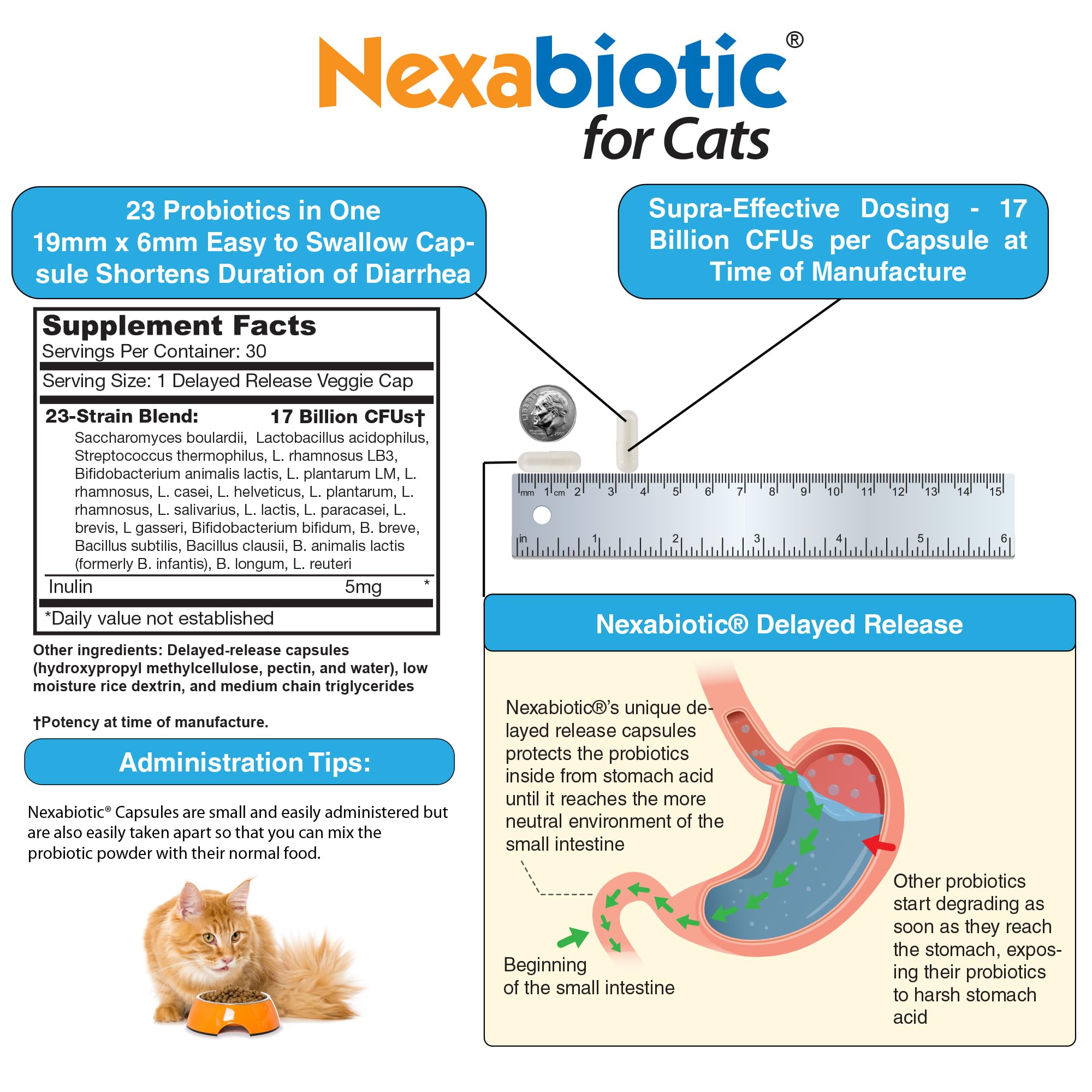DrFormulas Nexabiotic Gatos, enfoque en bienestar intestinal de mascotas