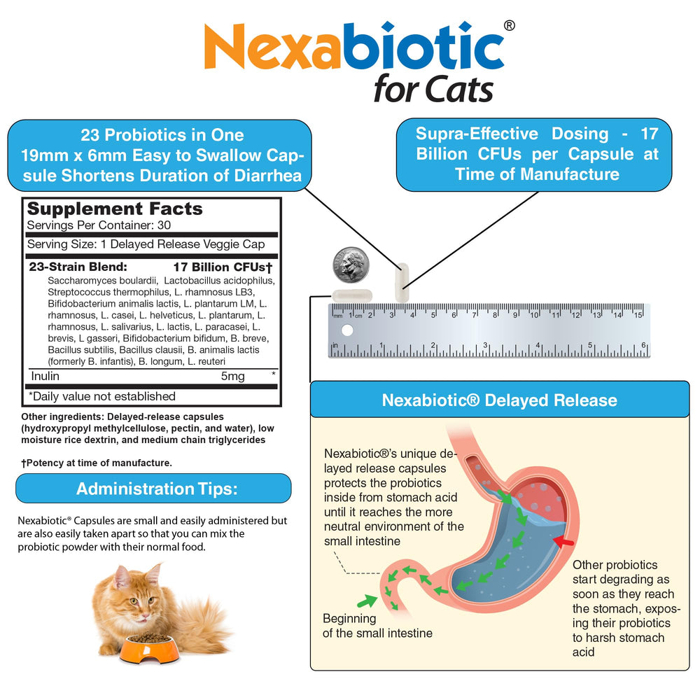 DrFormulas Nexabiotic Gatos, enfoque en bienestar intestinal de mascotas