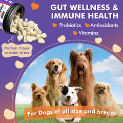 DRFOSTER omega-3 para piel y pelaje de perros.