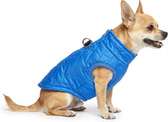DroolingDog abrigo para perro pequeño con forro de algodón cálido, ideal para días fríos.
