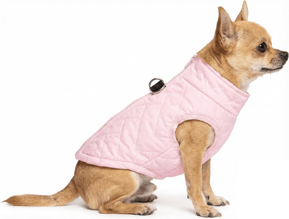 DroolingDog abrigos para perro pequeño, frente destacado, mantiene calor en días fríos.
