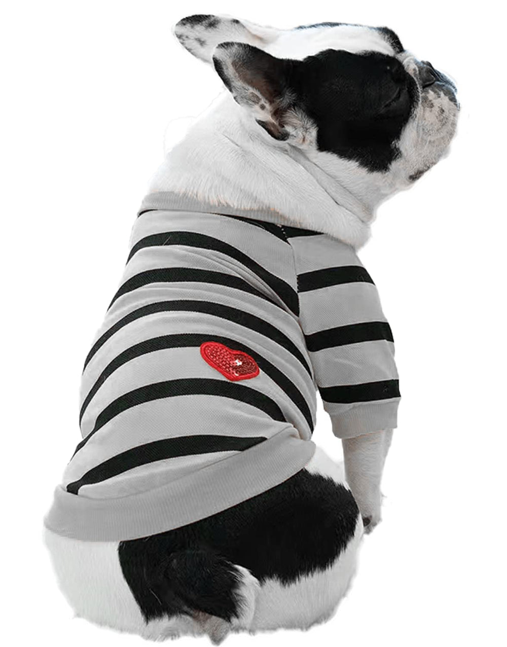 Camiseta DroolingDog para mascotas con rayas grises, vista frontal, ideal para salidas diarias.