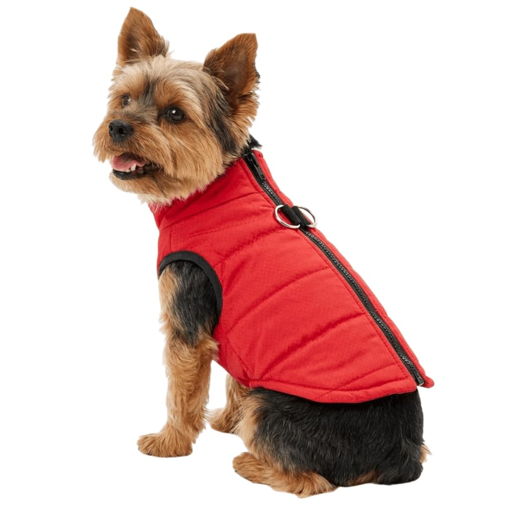 DroolingDog chaleco para perro pequeño, vista frontal, mantiene cálido al perro en invierno